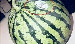 网红吃瓜的意思,揭秘娱乐圈幕后真相