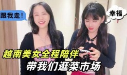 越南紫霞夫妇爆料视频,真实生活与网络形象的碰撞